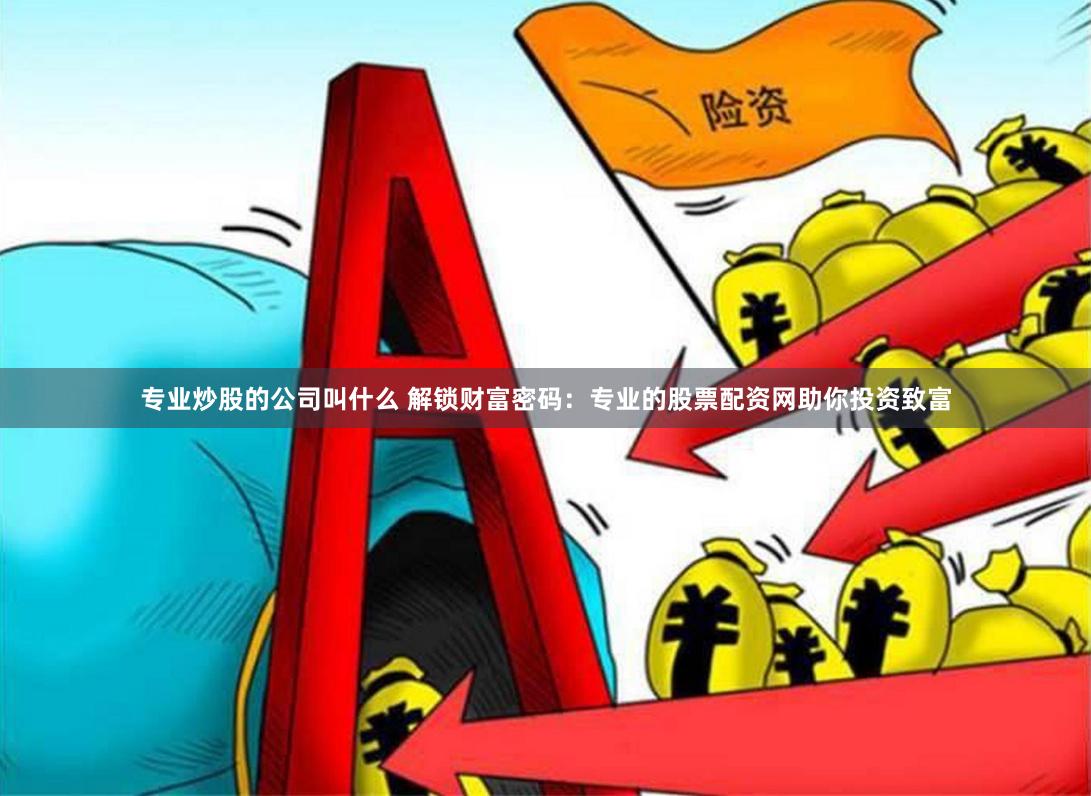 专业炒股的公司叫什么 解锁财富密码：专业的股票配资网助你投资致富