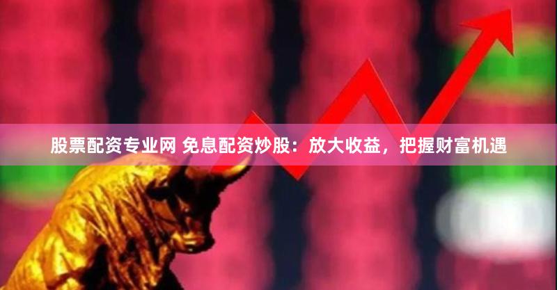 股票配资专业网 免息配资炒股:放大收益,把握财富机遇
