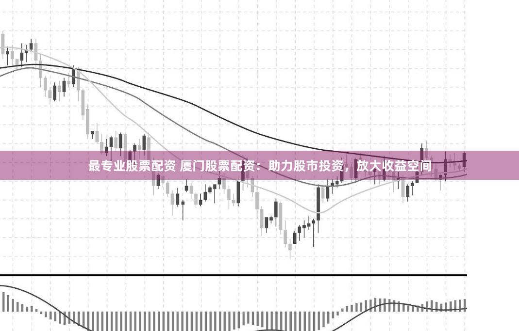 最专业股票配资 厦门股票配资：助力股市投资，放大收益空间