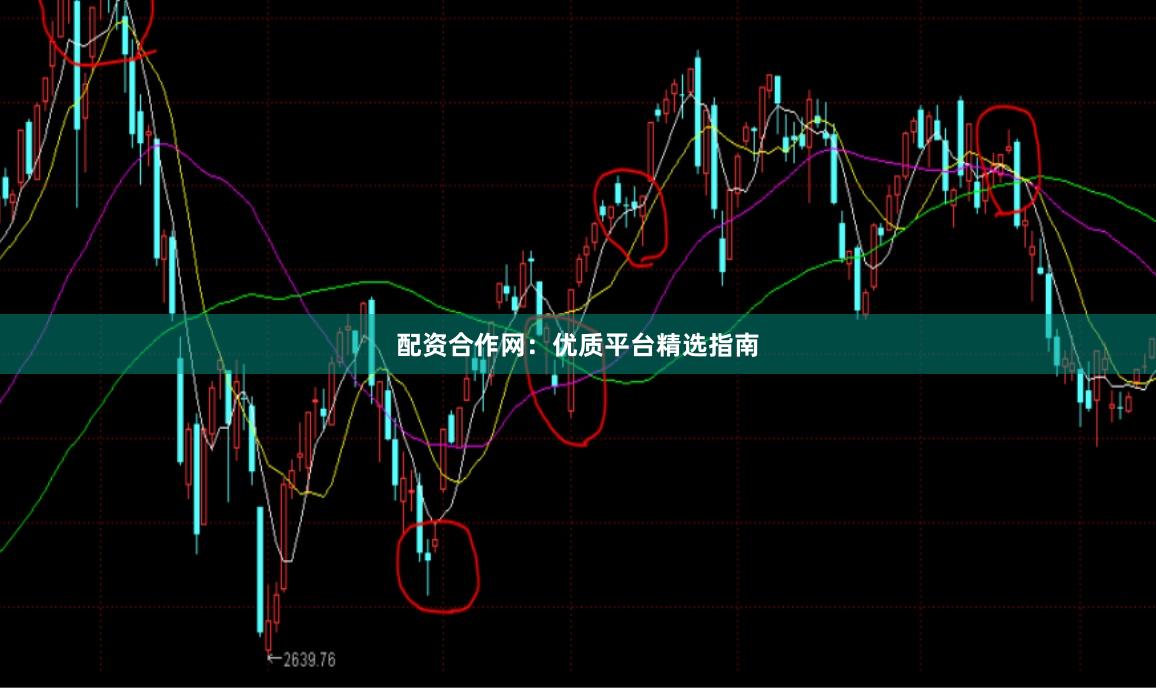 配资合作网：优质平台精选指南