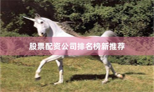 股票配资公司排名榜新推荐
