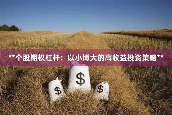 **个股期权杠杆：以小博大的高收益投资策略**