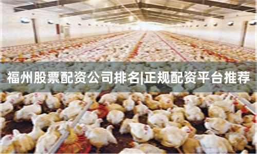 福州股票配资公司排名|正规配资平台推荐