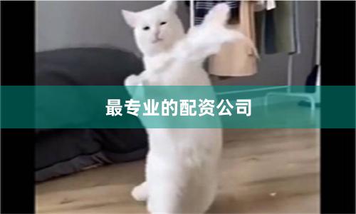 最专业的配资公司